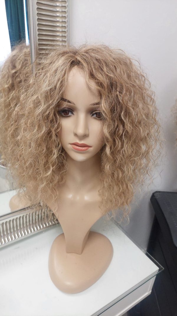 Afro Wig (Standard)