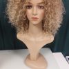 Afro Wig (Standard)