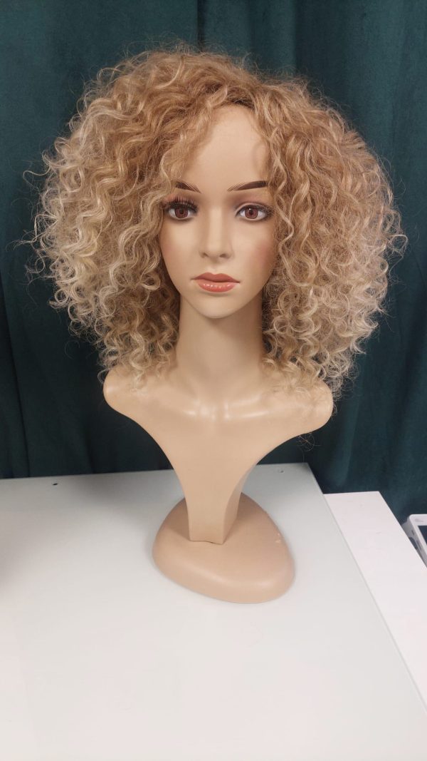 Afro Wig (Standard)