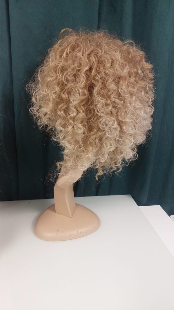 Afro Wig (Standard)