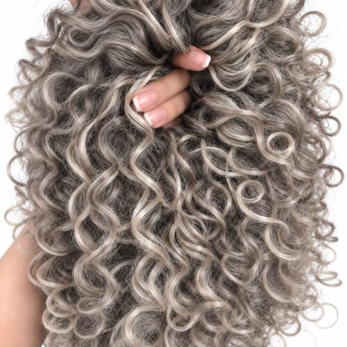 5 AFRO BUN - gray+light blonde